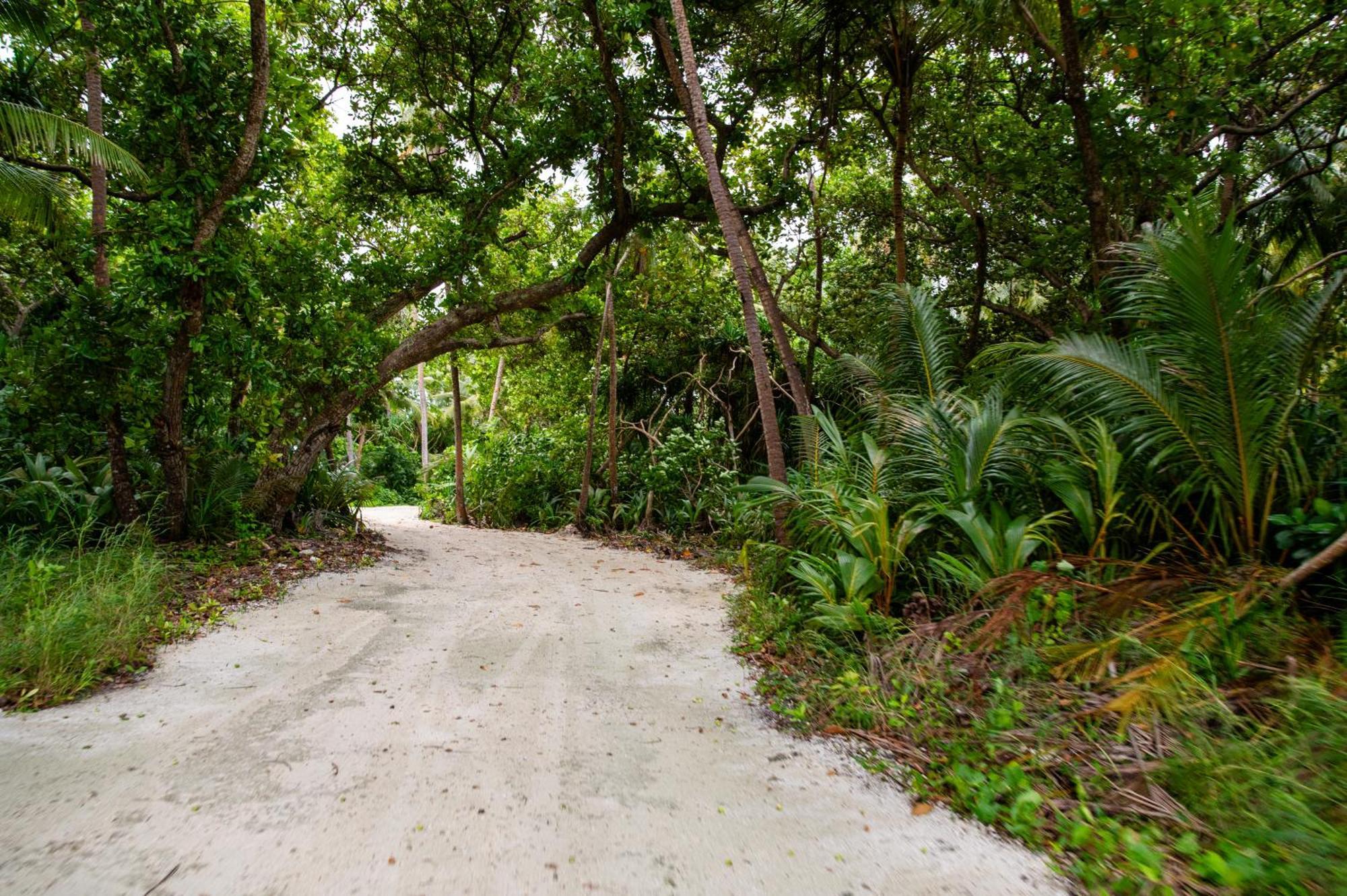 Biosphere Inn Dharavandhoo Ngoại thất bức ảnh